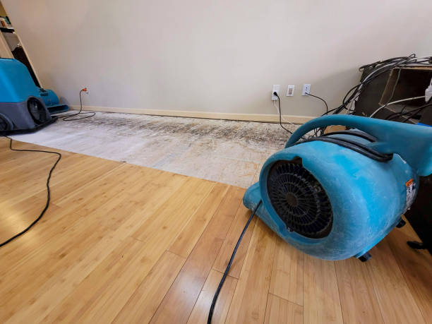 Professional Water Removal technician working in Carle Place, NY